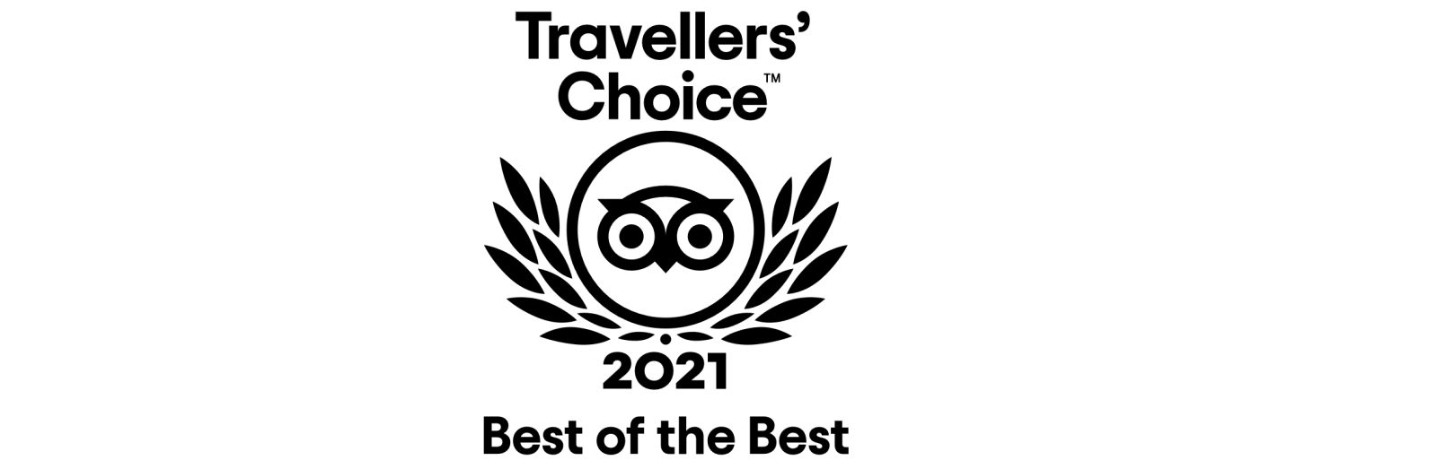 TripAdvisor Travellers' Choice logo banner